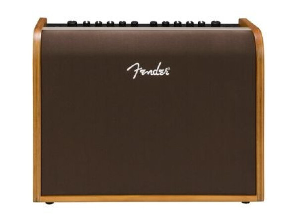 Fender Acoustic 100