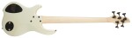 Dingwall NG3 Nolly Signature 5 MN Ducatti Pearl White