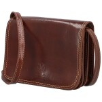 Módní dámská kožená crossbody kabelka Sofii, hnědá