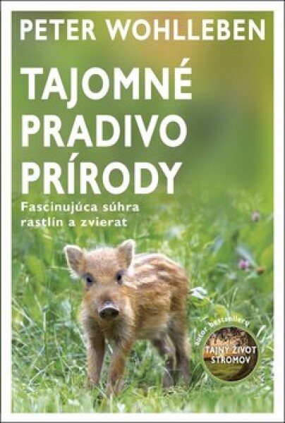 Tajomné pradivo prírody - Peter Wohlleben