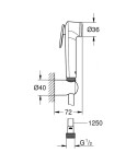 GROHE - Tempesta-F Bidetová sprška s držákem a hadicí 1,25 m, kartáčovaný Hard Graphite 27513AL1