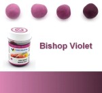 Gelová barva (Bishop Violet) biskupská fialová 35 g - Food Colours