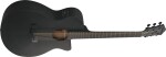Ibanez AEG621-BOT