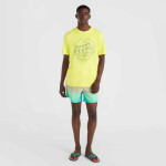 Plavecké šortky O'Neill Jack Cali Gradient 15'' 92800613575