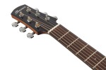 Ibanez AAM100E Natural