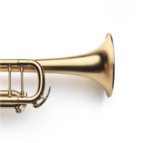 VanLaar B9.1 Bb Trumpet Brushed gold-plated