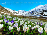 Nástěnný kalendář 2027 Graspo Nature