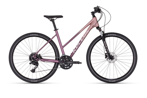 Kellys Pheebe 70 2024