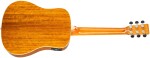 Tanglewood TRX2E
