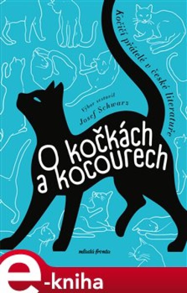 Kočkách kocourech