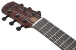 Ibanez AUP10N Light Brown Sunburst