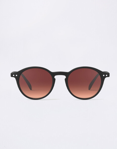 Izipizi Sun #D Black Road Polarized