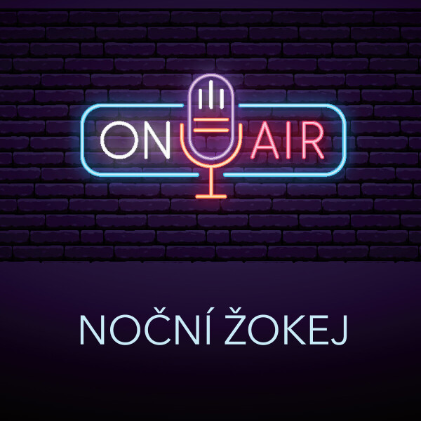 Noční žokej - Antonín Přidal - audiokniha