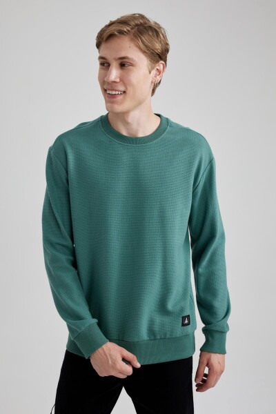 DEFACTO Regular Fit Crew Neck Waffle Sweatshirt