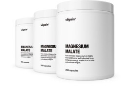 Vilgain Hořčík malát – 3× 200 kapslí