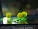 G.B.U. Boilies Mutant Extreme Crab + Mulberry w/Holy Smoke 130g - 20mm,G.B.U. Boilies Mutant Extreme Crab + Mulberry w/Holy Smoke 130g - 20mm