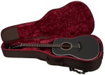 Taylor 217e-BLK Plus