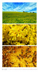 Nástěnný kalendář 2027 Graspo Colours