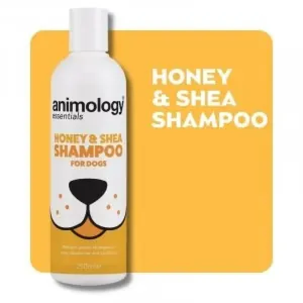 Animology Essentials Šampon pro psy med a bambucké máslo 250ml (BG-ANE001-FG-00001)