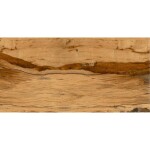 Dlažba Burningwood 60/120