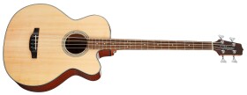 Takamine GB30CE-NAT