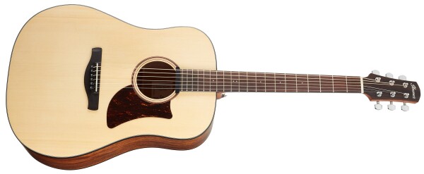 Ibanez AAD100E Natural