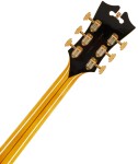 D'Angelico EXL-1 Amber