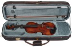 Stentor Violin 4/4 Verona Set SR1864