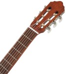 Cort AC100SG