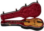Ibanez PM200 Natural