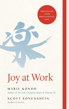 Joy at Work : Organizing Your Professional Life - Marie Kondo