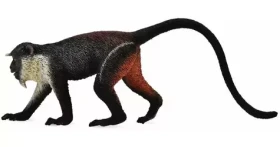 Collecta Kočkodan Dianin