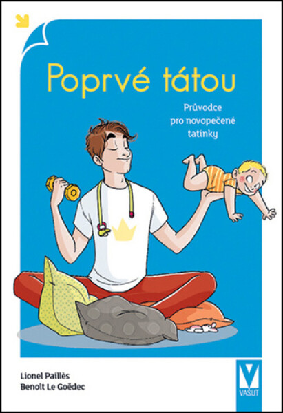 Poprvé tátou - Průvodce pro novopečené tatínky - Benoit Le Goëdec