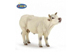 Kráva Charolais