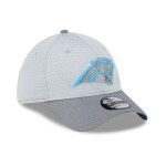 New Era Pánská kšiltovka Carolina Panthers NFL 2024 Training Camp 39THIRTY Flex - Šedá Velikost: M/L