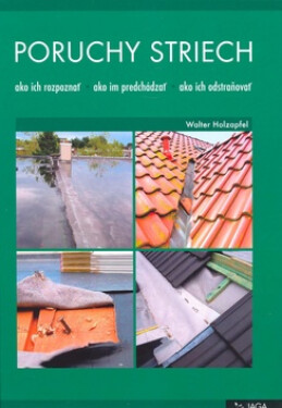 Poruchy striech - Walter Holzapfel