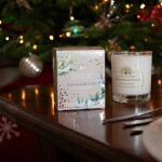 English Soap Company Under The Mistletoe 170 g