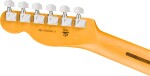Fender American Professional Telecaster RW DK NIT