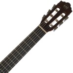 Tanglewood EMC 3/4