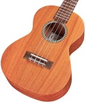 Cordoba 20TM Tenor Ukulele