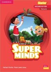 Super Minds Starter Flashcards, Second Edition - Peter Lewis-Jones