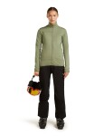 ICEBREAKER Wmns om Mer 300 RealFleece Desc LS Zip, Lichen (vzorek) velikost: S