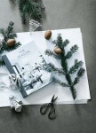 New Mags Kniha - The Season, Katrine Martensen-Larsen, zelená barva, papír