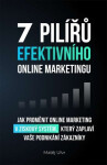 7 pilířů efektivního marketingu - Jak proměnit online marketing v ziskový systém, který zaplaví vaše podnikání zákazníky (poškozená) - Matěj Ulvr