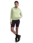 ICEBREAKER Wmns Merino Crush II LS Hoodie, Glazen velikost: XL