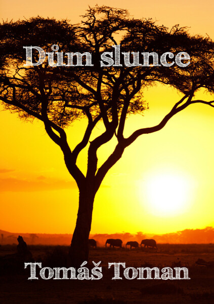 Dům slunce - Tomáš Toman