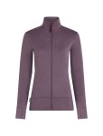 ICEBREAKER Wmns Merino 260 Quantum IV LS Zip, Grey Plum velikost: L