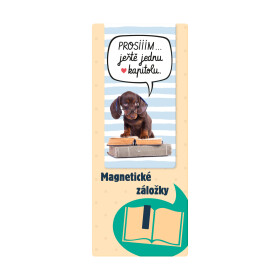 Magnetická záložka - Kapitola - Albi