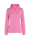 ICEBREAKER W 260 Quantum IV LS Zip Hoodie, Pop velikost: XS