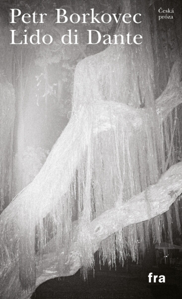 Lido di Dante - Petr Borkovec